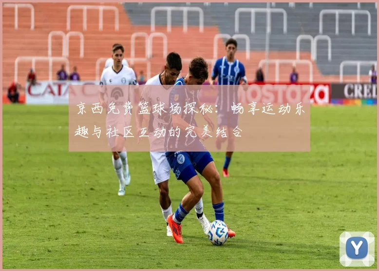 京西免费篮球场探秘：畅享运动乐趣与社区互动的完美结合