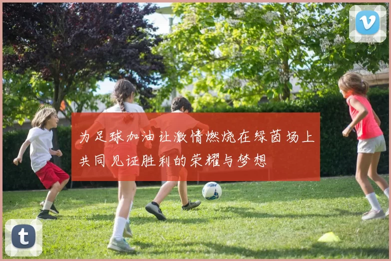 为足球加油让激情燃烧在绿茵场上共同见证胜利的荣耀与梦想
