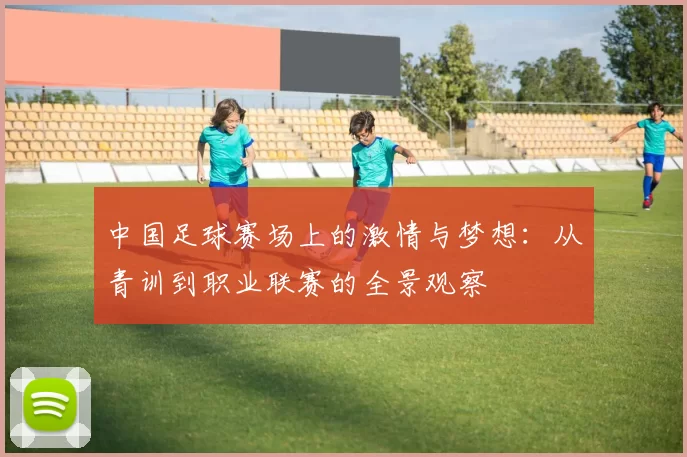 中国足球赛场上的激情与梦想：从青训到职业联赛的全景观察
